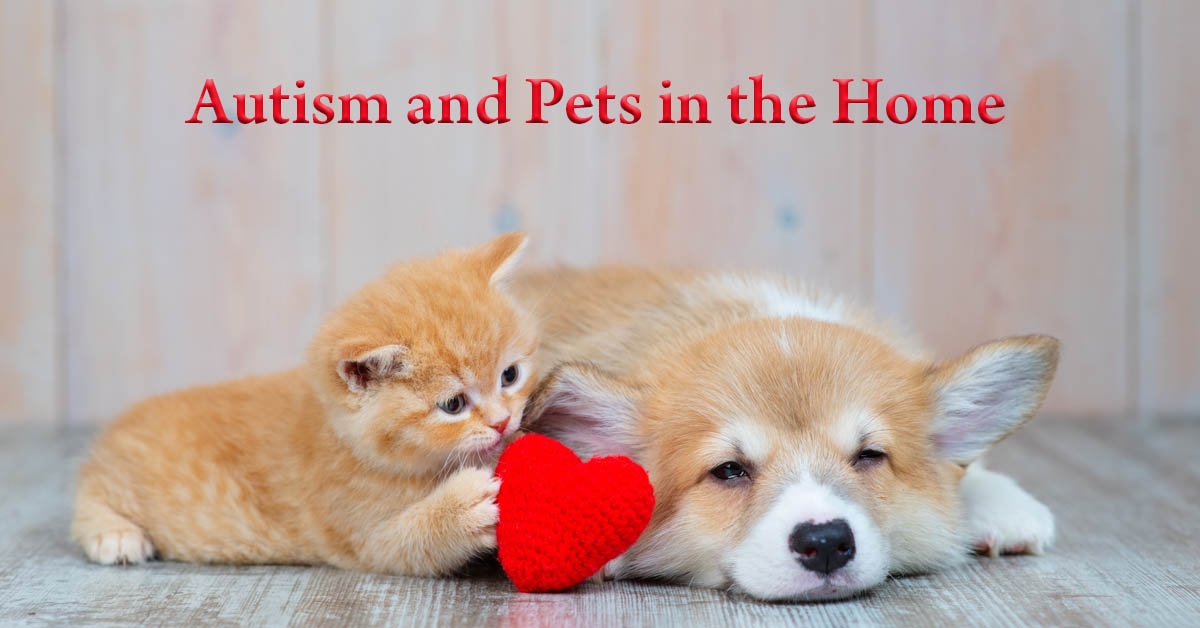 Autism and Pets in the Home. Picture of an orange tabby kitten laying next to a tan and white puppy.