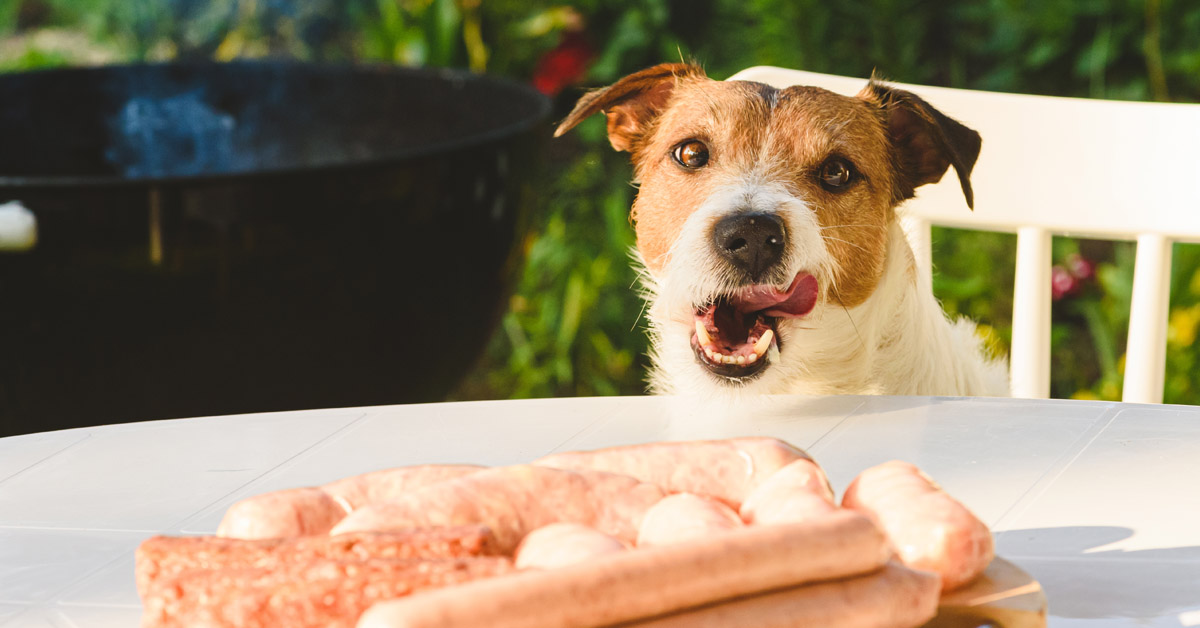 Image of dog looking at food on table